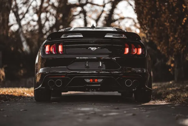 위닝 카지노 안드로이드/iOS 앱